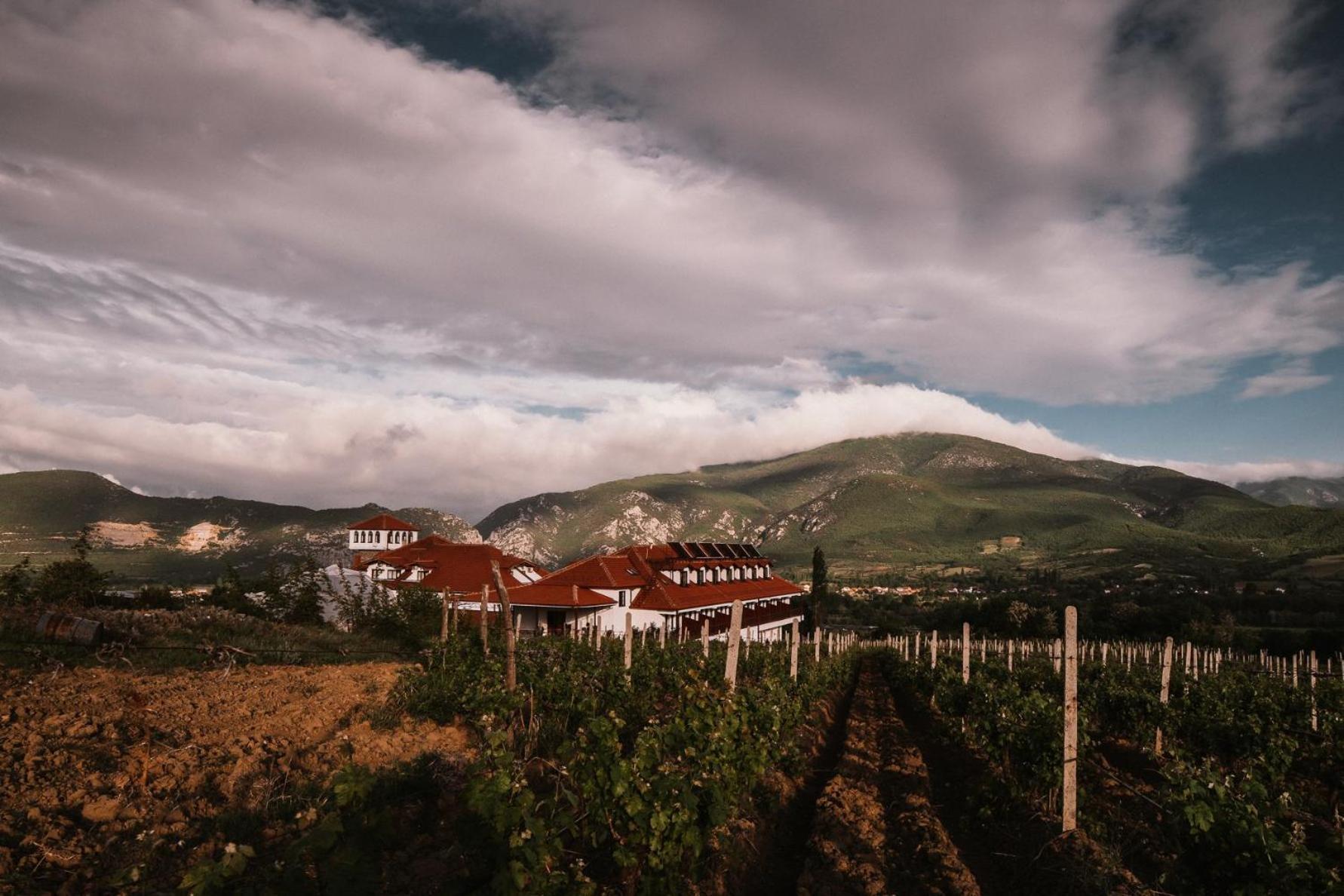 Popova Kula Hotel&Winery Demir Kapija Esterno foto
