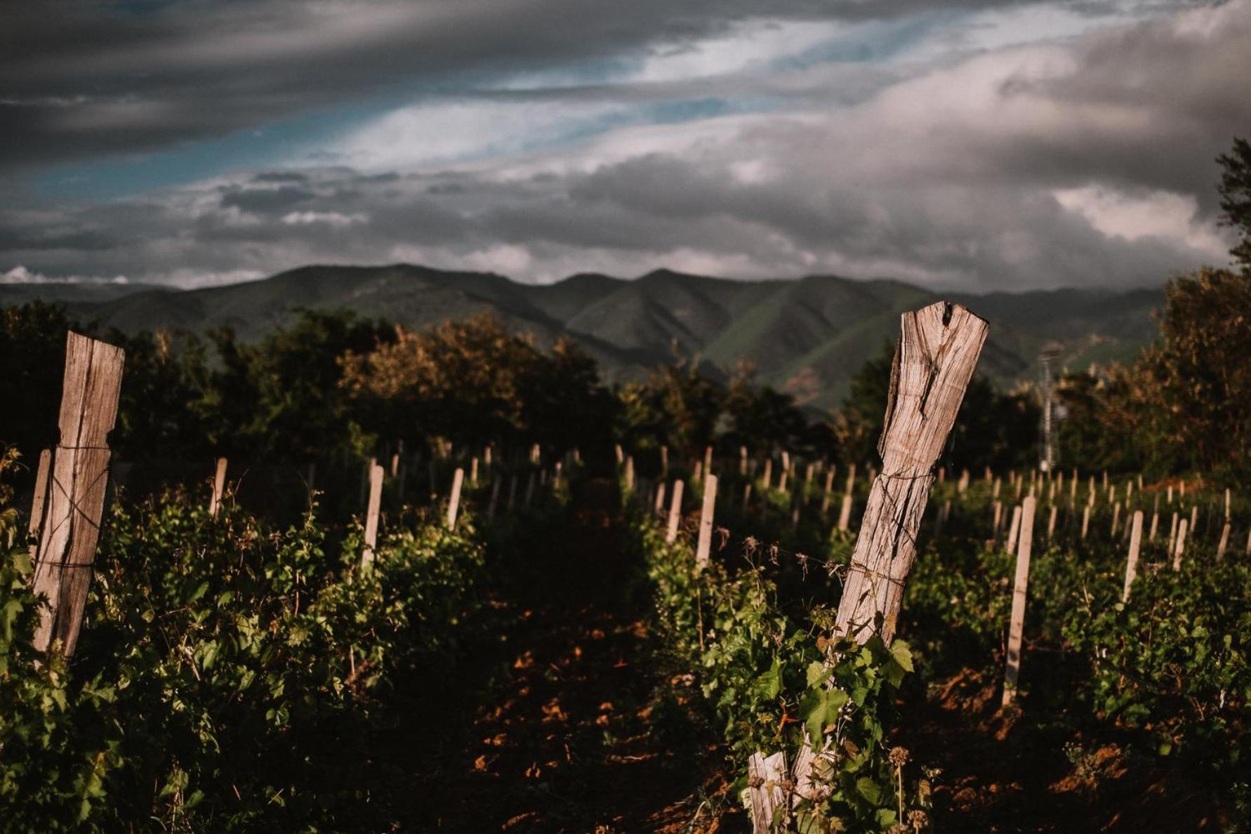 Popova Kula Hotel&Winery Demir Kapija Esterno foto